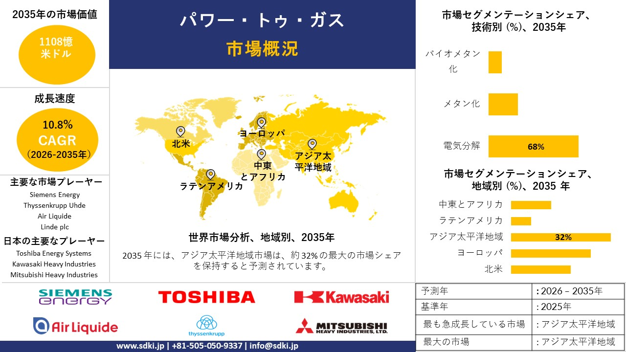 power to gas survey report